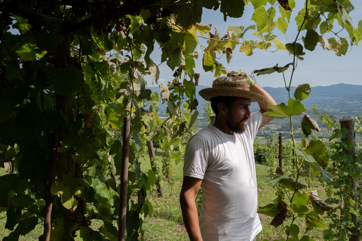 Servo della Glera - Prosecco, pesticidi, paesaggio © Lafratta P