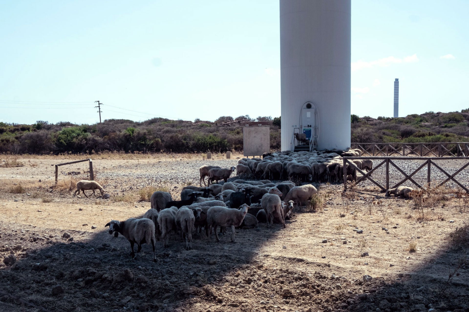 Pascolo di pecore nelle aree contaminate vicino al polo industriale di Portovesme dove adesso sorge un parco eolico. “Le terre più vicine alle industrie o sottovento sono quelle più contaminate. Al momento quei terreni sono pressoché tutti abbandona
