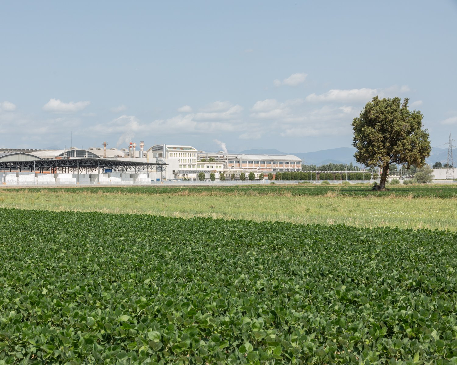  Uno degli stabilimenti dell’azienda Sofidel. Porcari, (Lucca), 2023.  