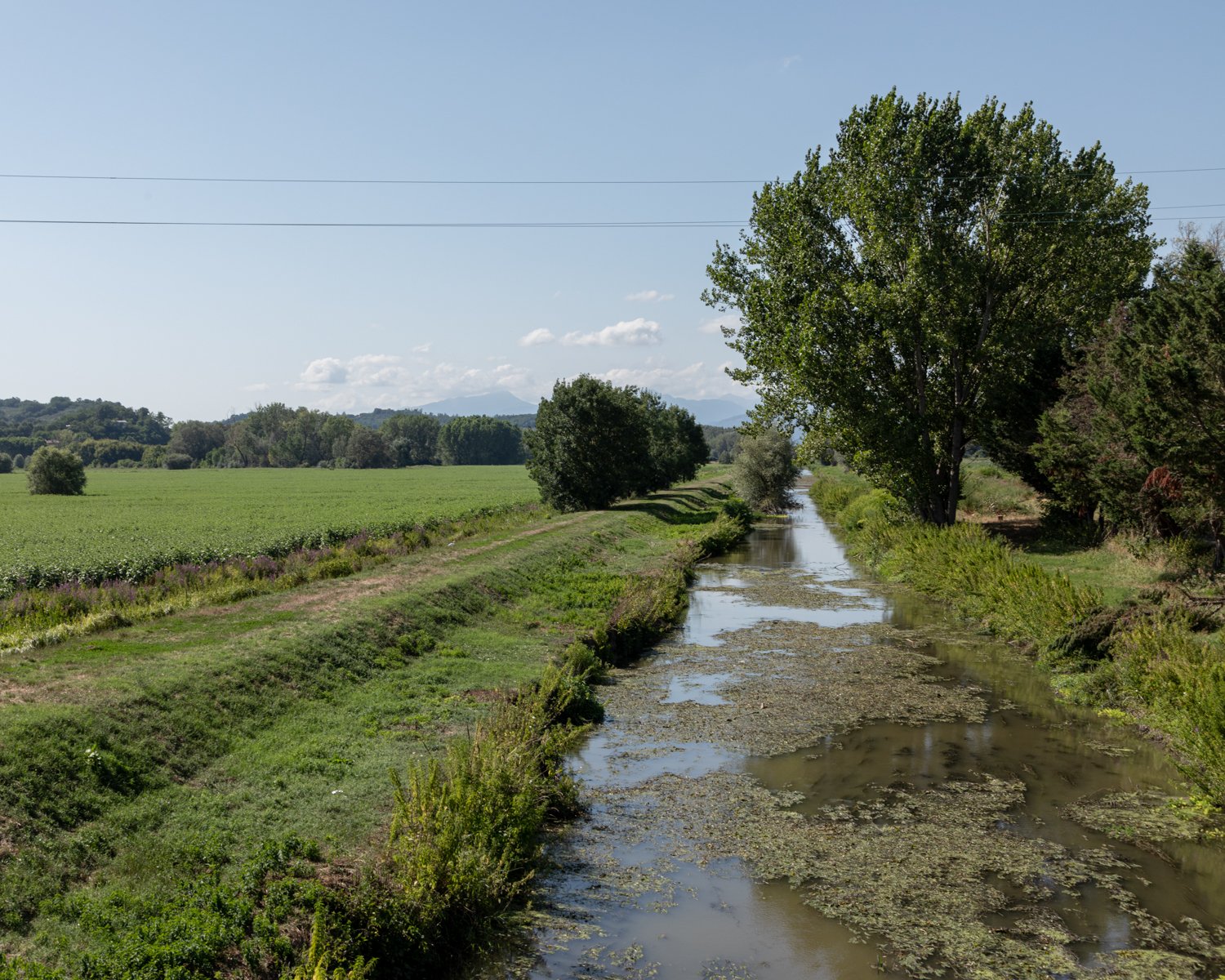  Il canale Rogio attraversa tutta la pianura lucchese: qui nella zona sud di Lucca attraversa la piccola pianura alluvionale denominata Padule e assieme al lago della Gherardesca e ad altri canali è quanto rimane dell’antico lago di Sesto. Porcari (L