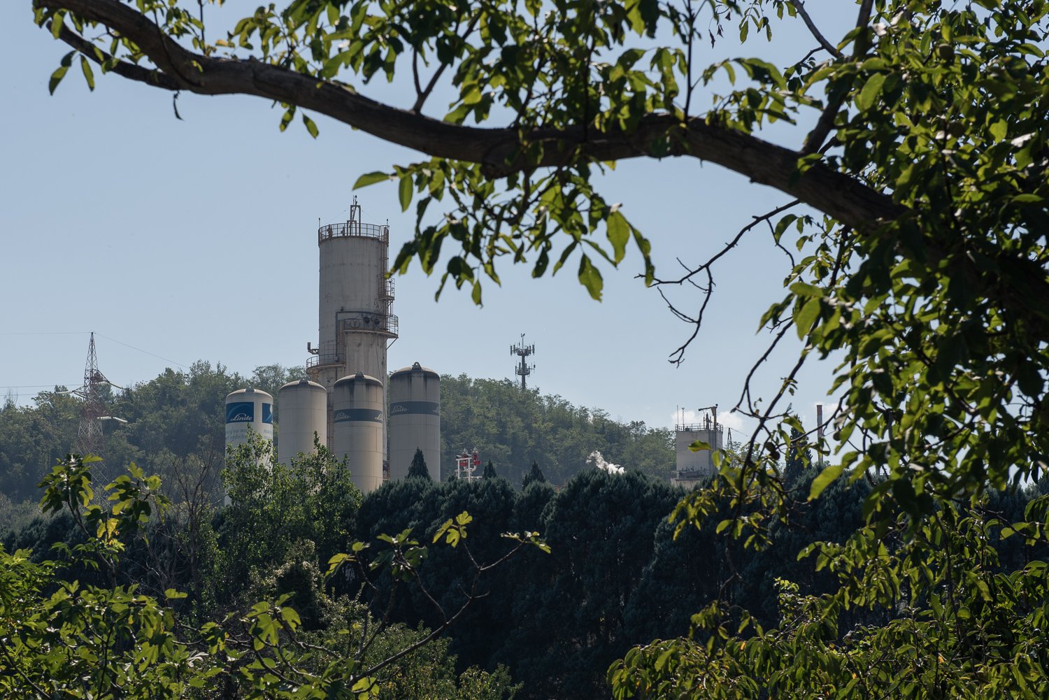  Campo privato non coltivabile nelle vicinanze dell’Acciaieria, in via dell’Industria. Quartiere Prisciano, Terni (Terni), 2023. 