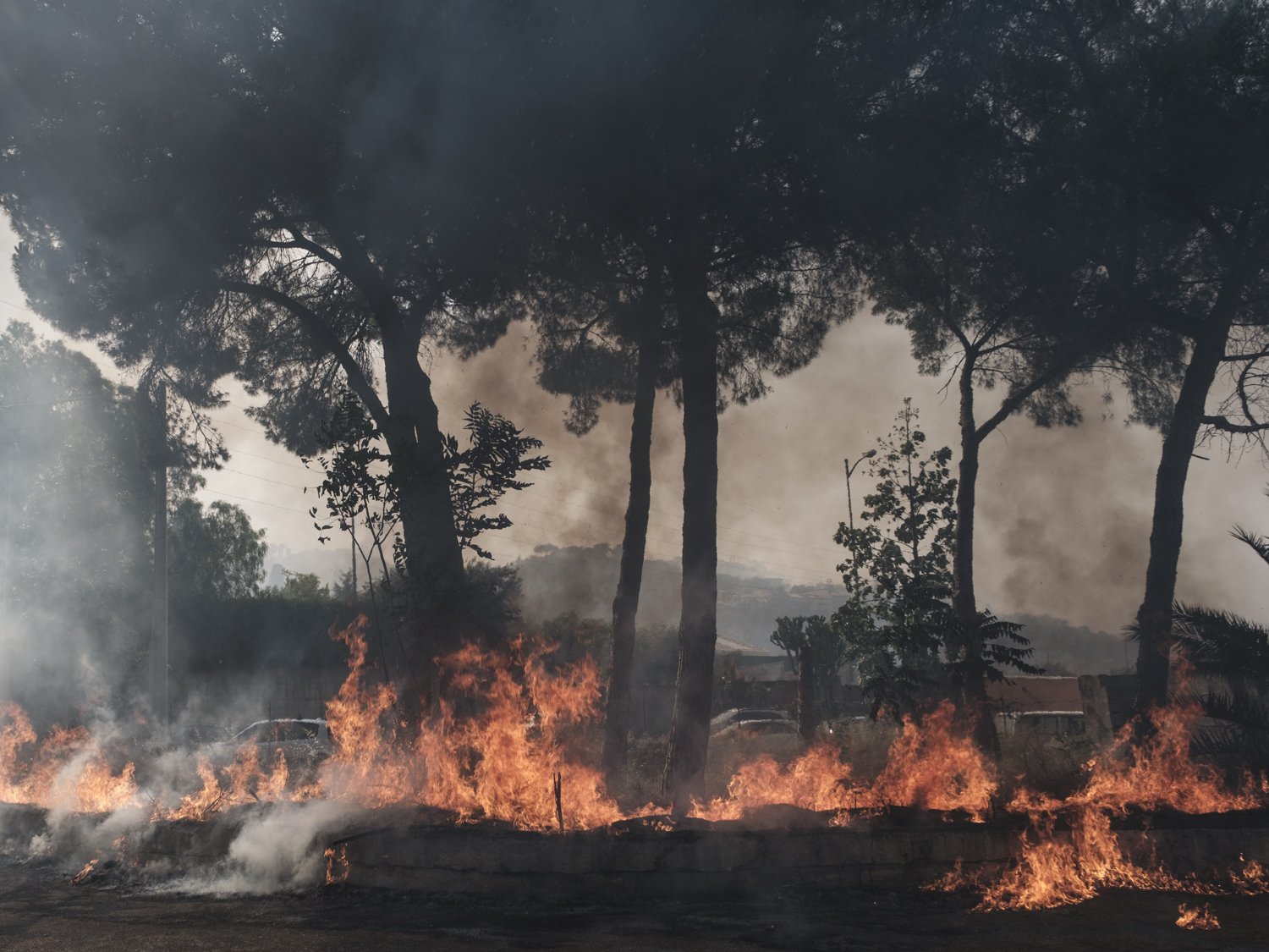  Incendio del 25 luglio 2023 ad Acicatena (Catania). L’incendio ha colpito sia aree boschive che urbane:i roghi sono partiti dal sito archeologico di Santa Venera al Pozzo e si sono propagati fino a interessarequattro paesi del territorio acese, con 