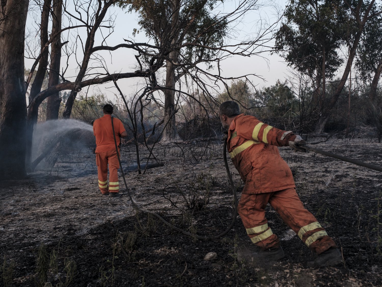  Intervento di due agenti del corpo forestale durante l’incendio che ha colpito il bosco dell’Oasi delSimeto (Catania), area naturalistica protetta, 24 luglio 2023. 