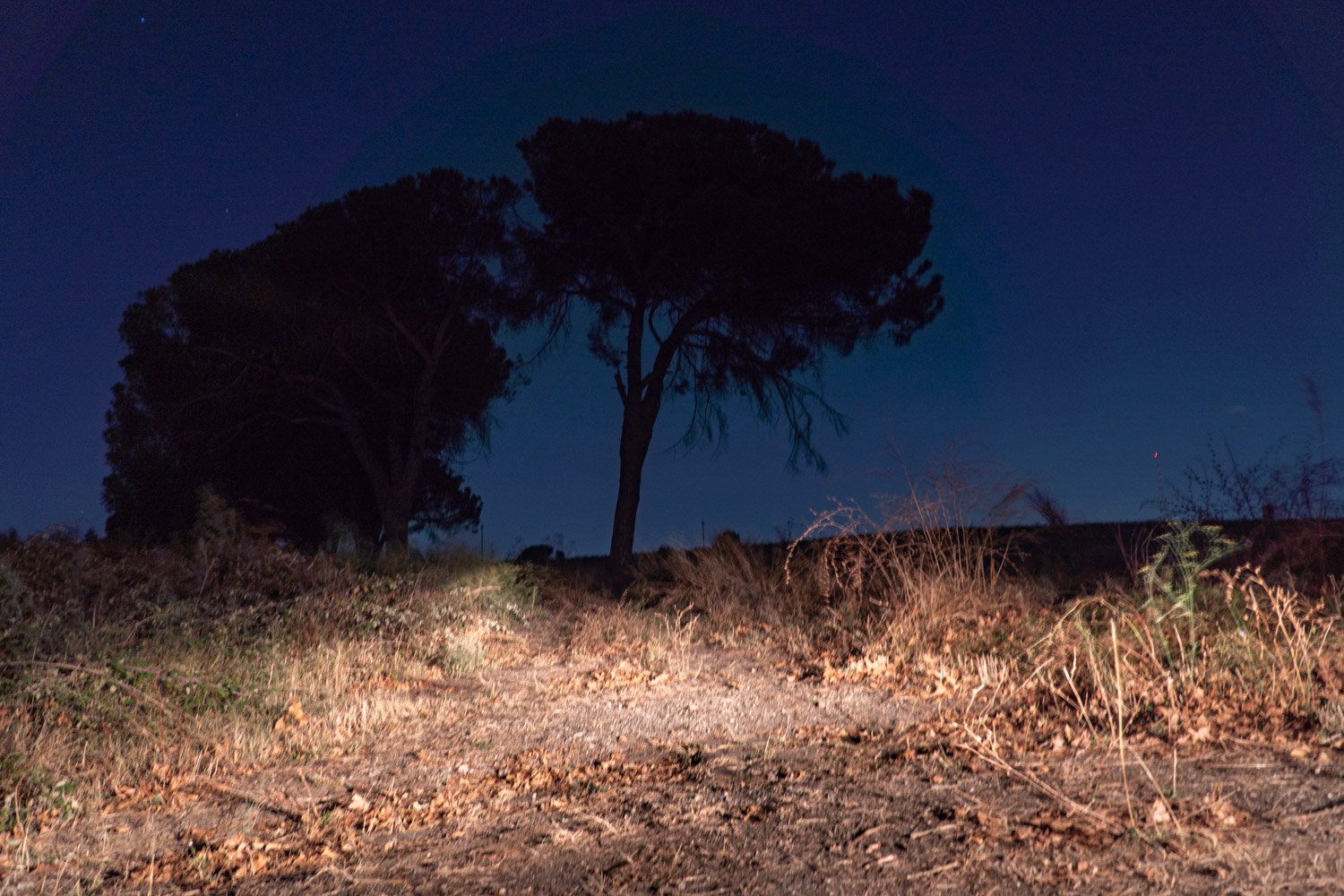  In primo piano quel che rimane degli antichi basoli che costituivano la bretella di collegamento tra due strade sacre che in epoca romana attraversano Santa Palomba. Oggi i resti si trovano in una zona abbandonata poco distante dal polo industriale.