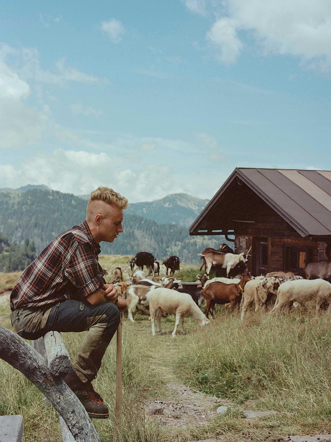  Nichi Nones, 21 anni, allevatore da 3, passa 4 mesi l’anno in alpeggio con 350 capi di bestiame tra capre e pecore, Val di Fiemme, agosto 2023. 