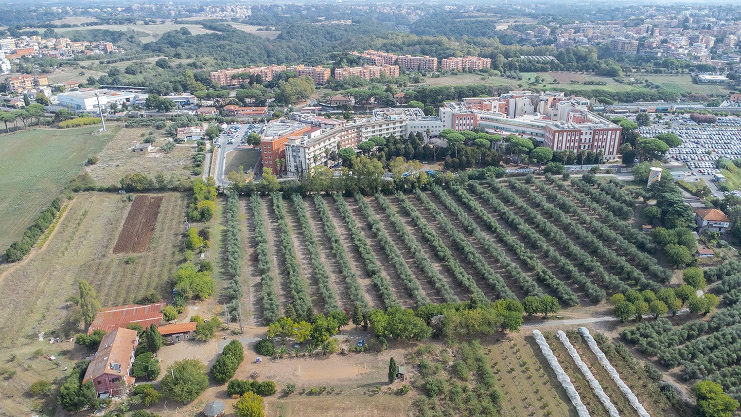  Veduta dall’alto della Cobragor confinante con l’ospedale San Filippo Neri. Roma, 2023 