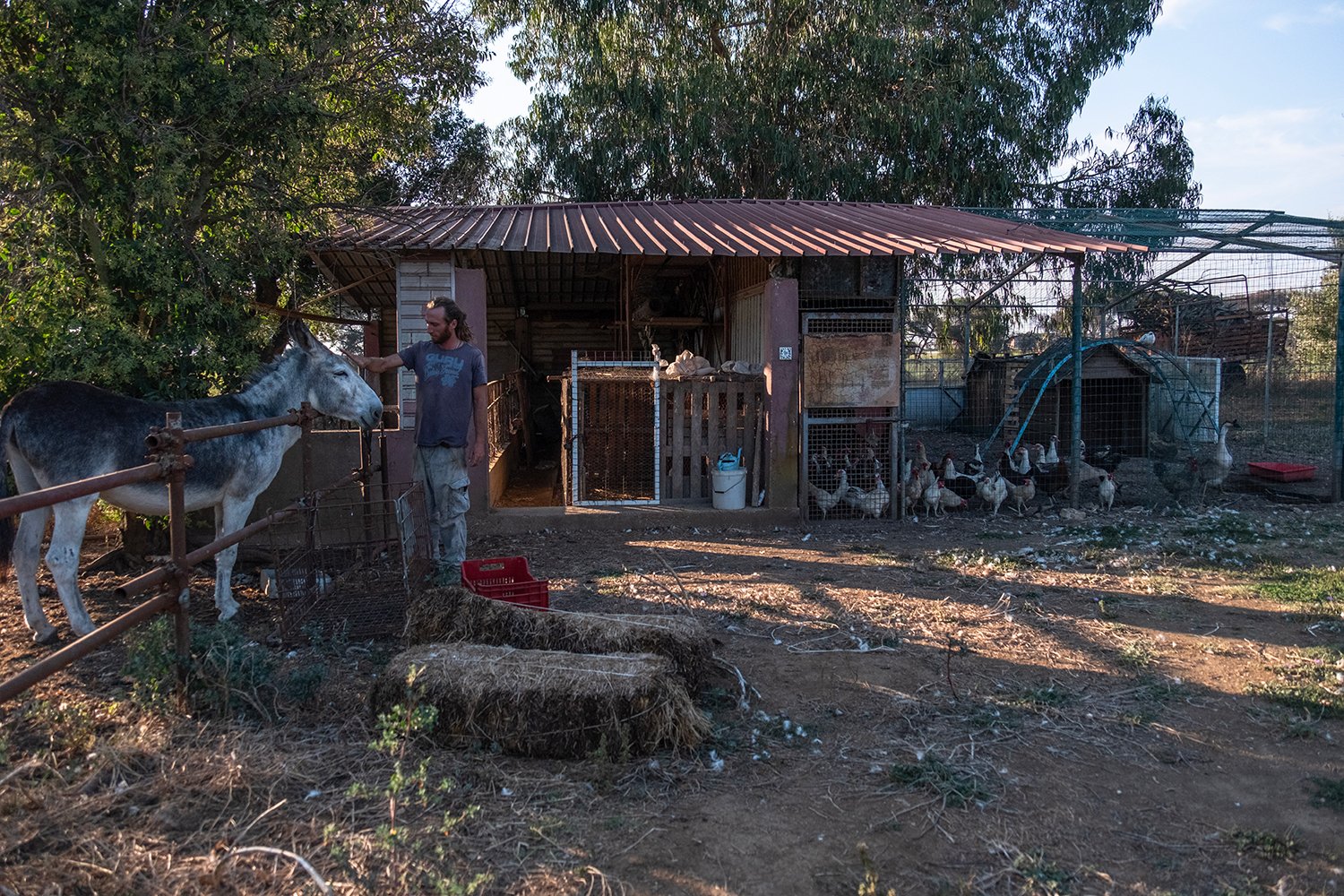  La piccola fattoria posta accanto alle abitazioni dei residenti della Cobragor, è adibita anche a fattoria didattica per i bambini. Roma, 2023 