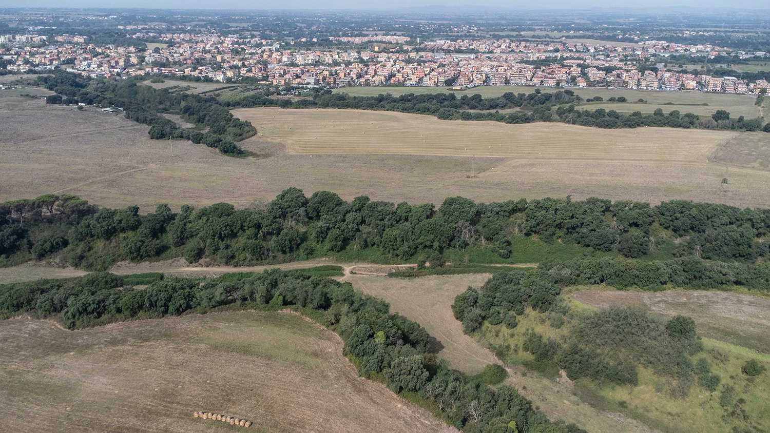  Terreni lavorati dalla Cobragor e il parco dell’Insugherata confinante. Roma, 2023  