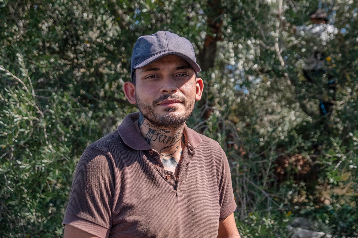  Primo piano di un collaboratore della Cobragor durante la raccolta delle olive. Roma, 2023 