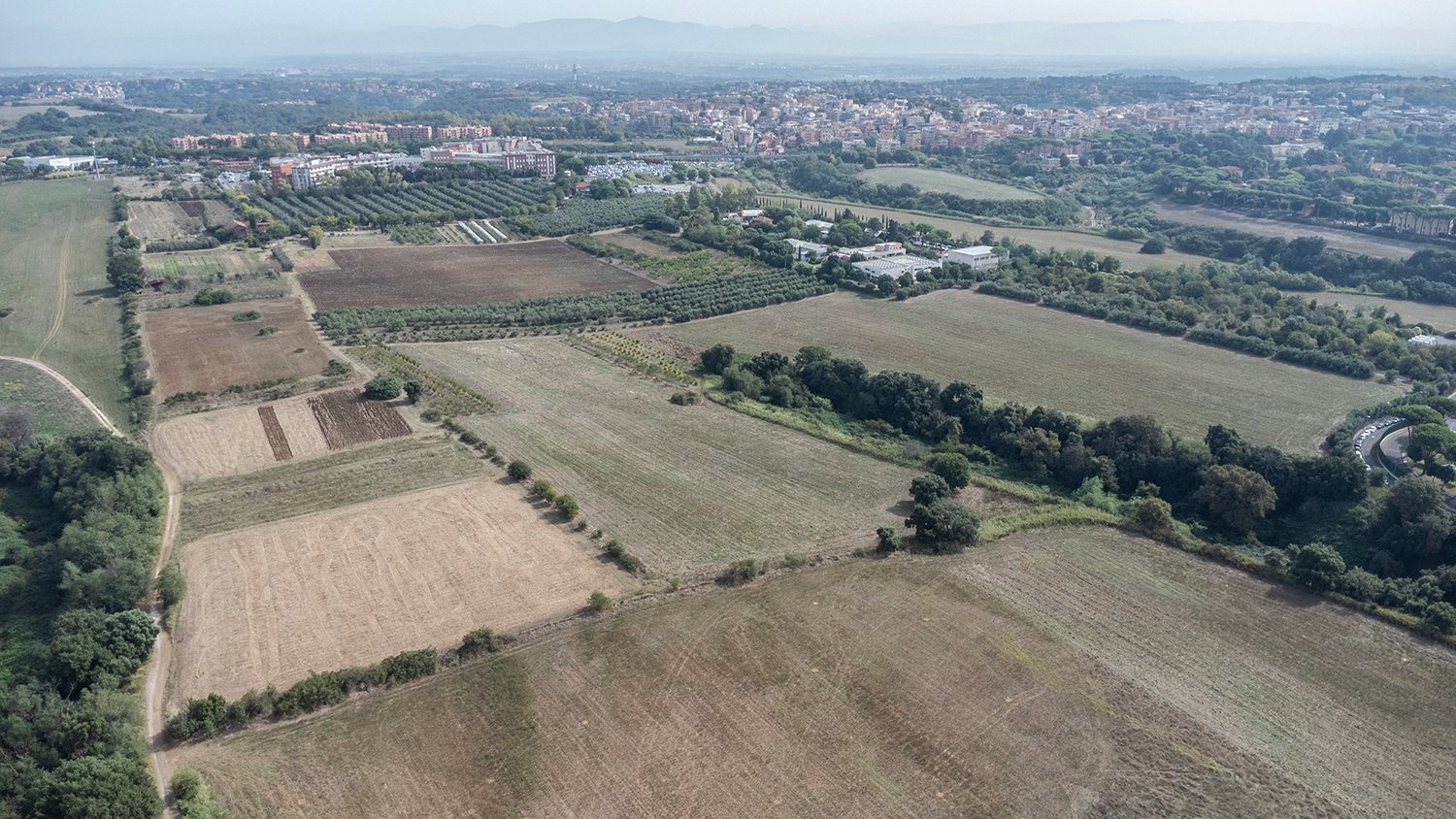  Vista dall’alto dei 40 ettari lavorati della Cobragor. Roma, 2023 