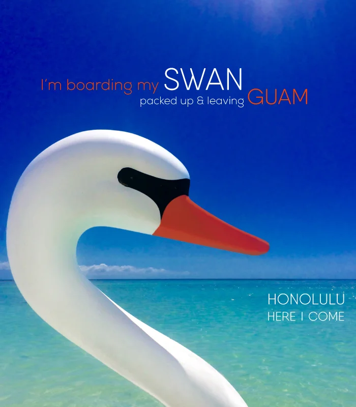 SWANING-HOME.jpg