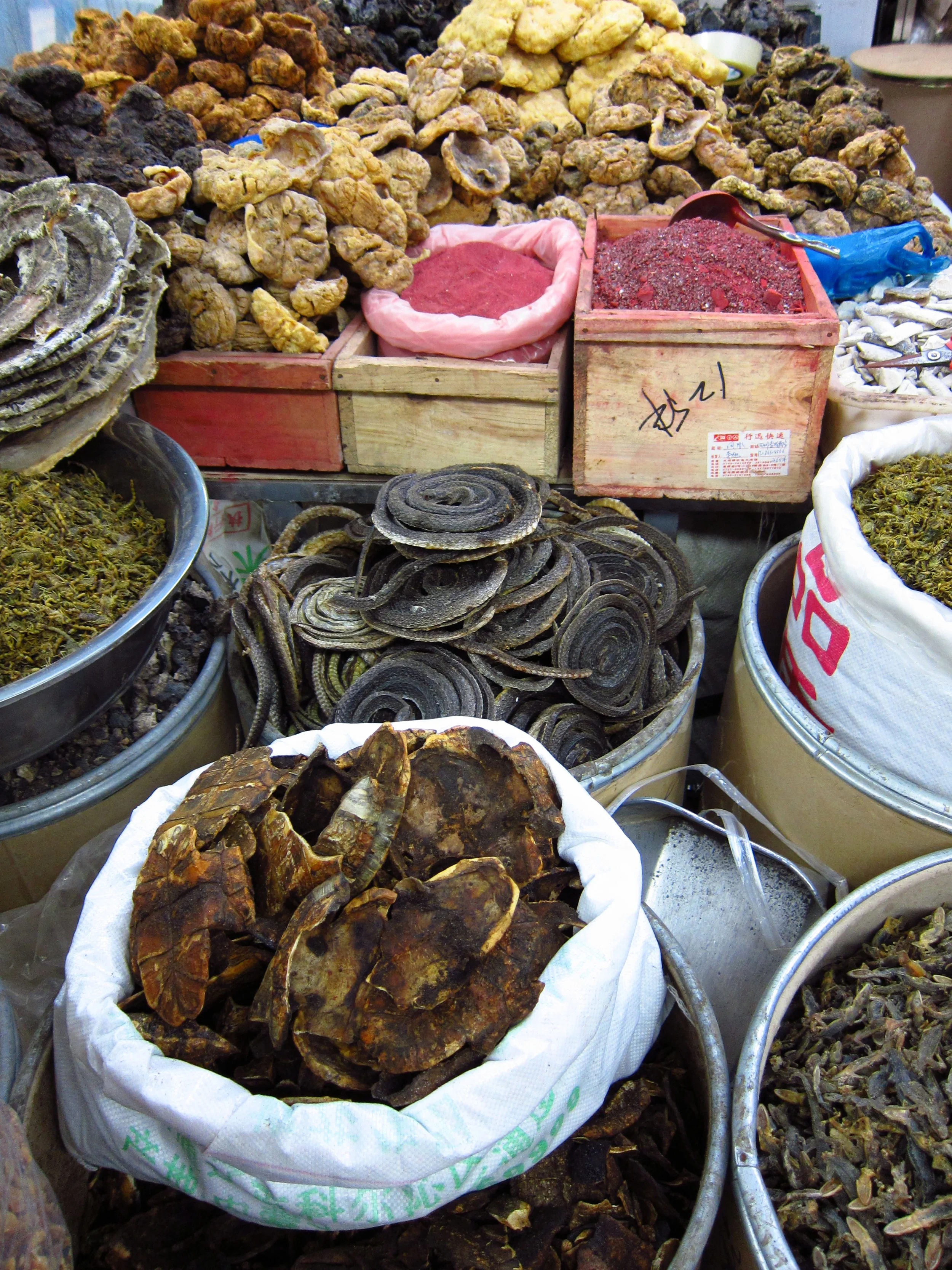 sunrise from hotel window 203.JPG