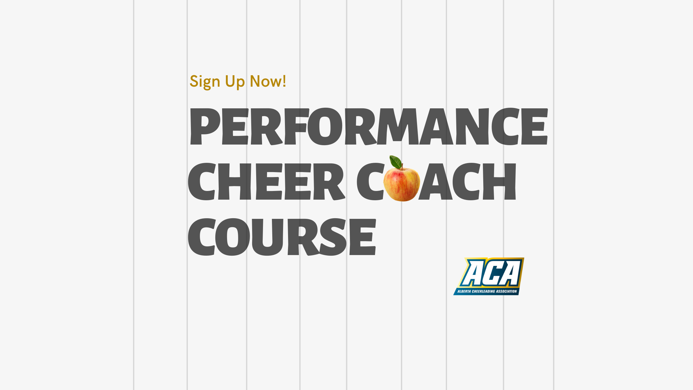 Performance Cheer Certification Alberta Cheerleading Association Performance Cheer Certification Alberta Cheerleading Association