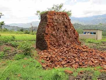 st_jude_bricks.jpg