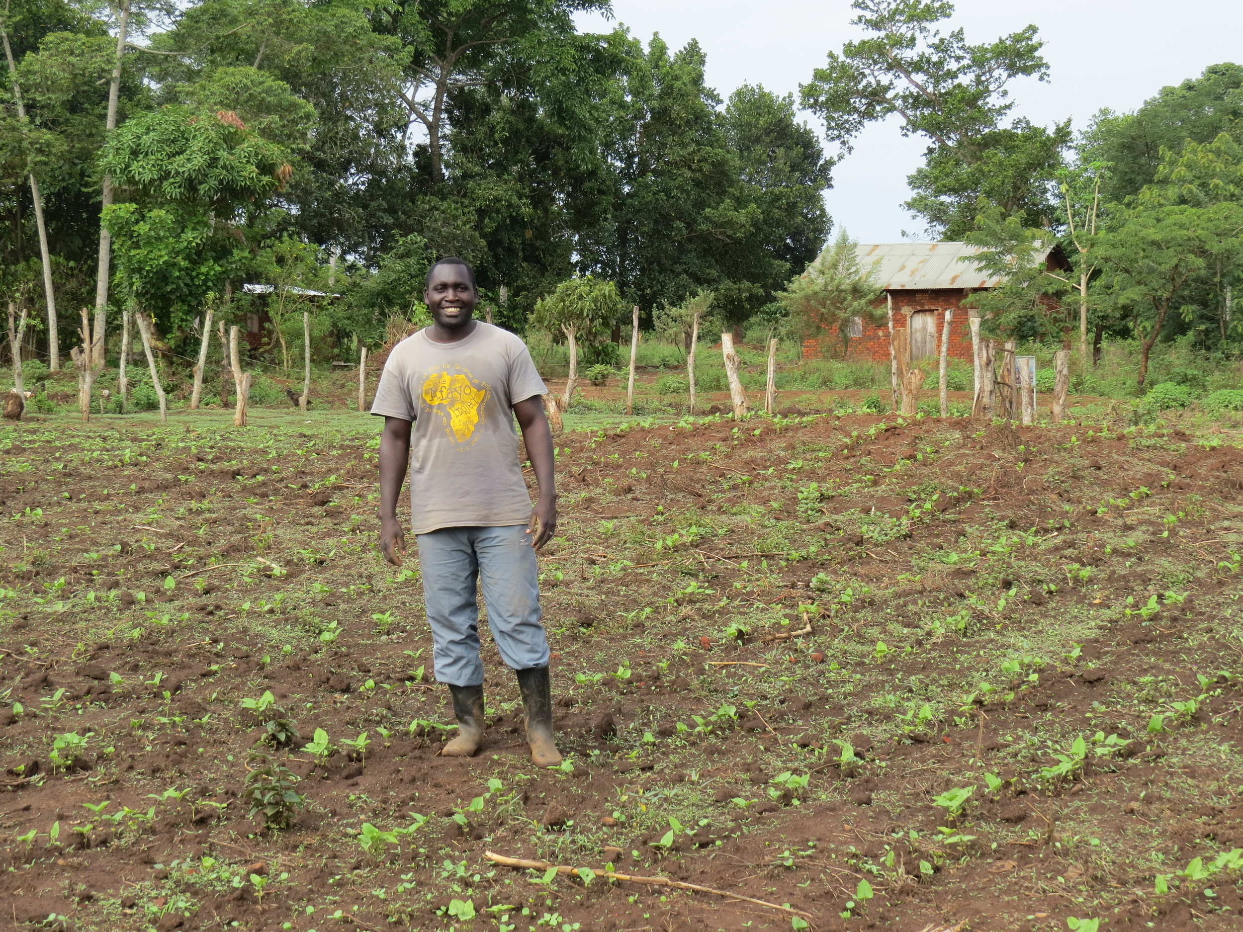 Farm project