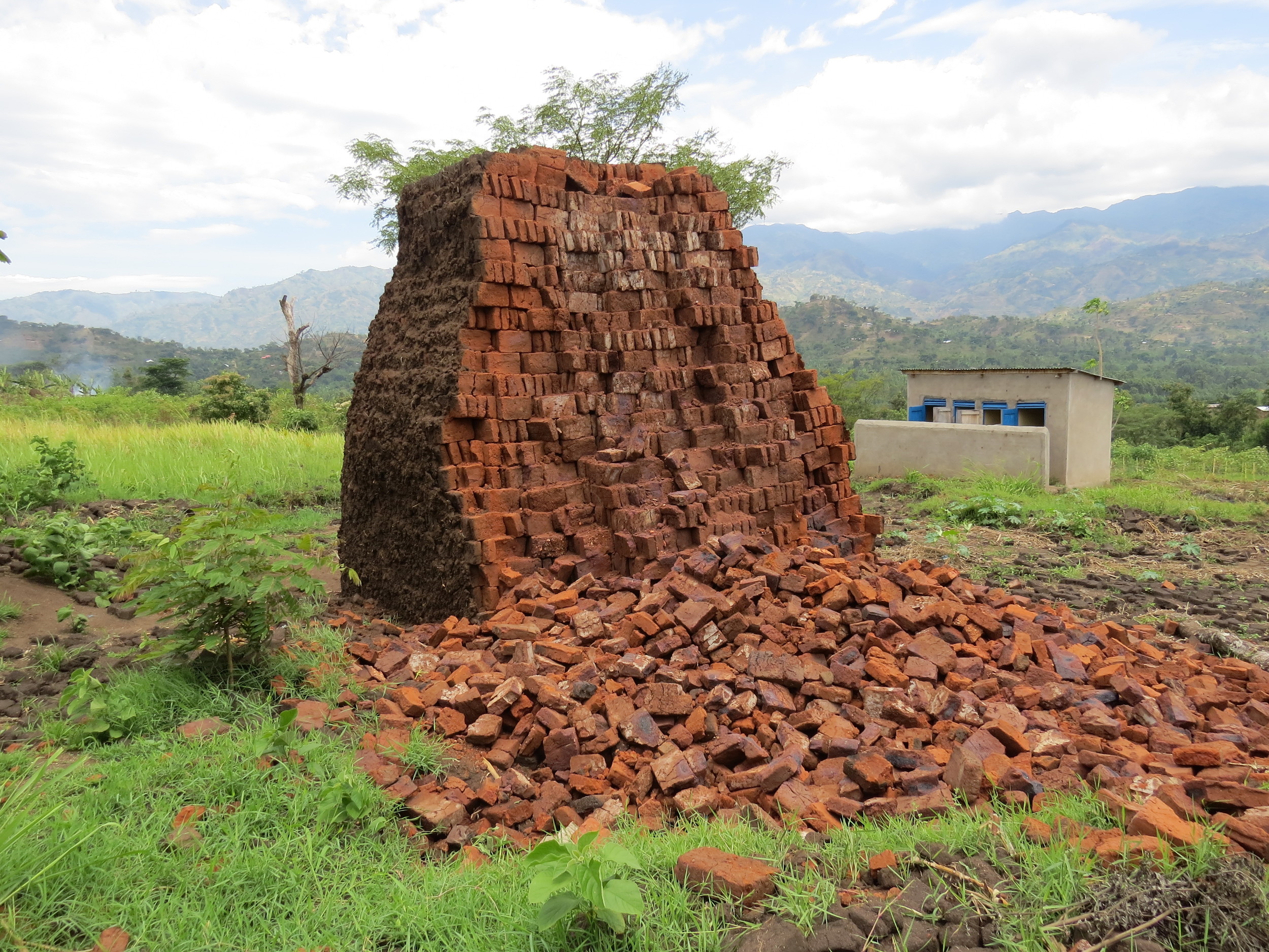 Bricks ready for building