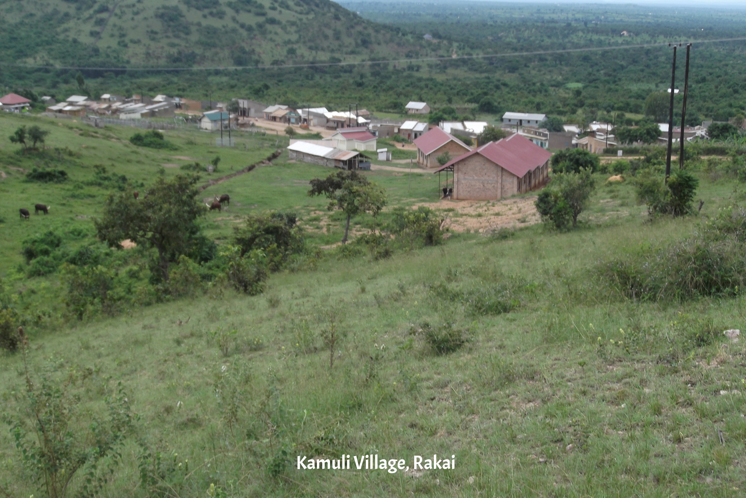 School buildings are in centre front