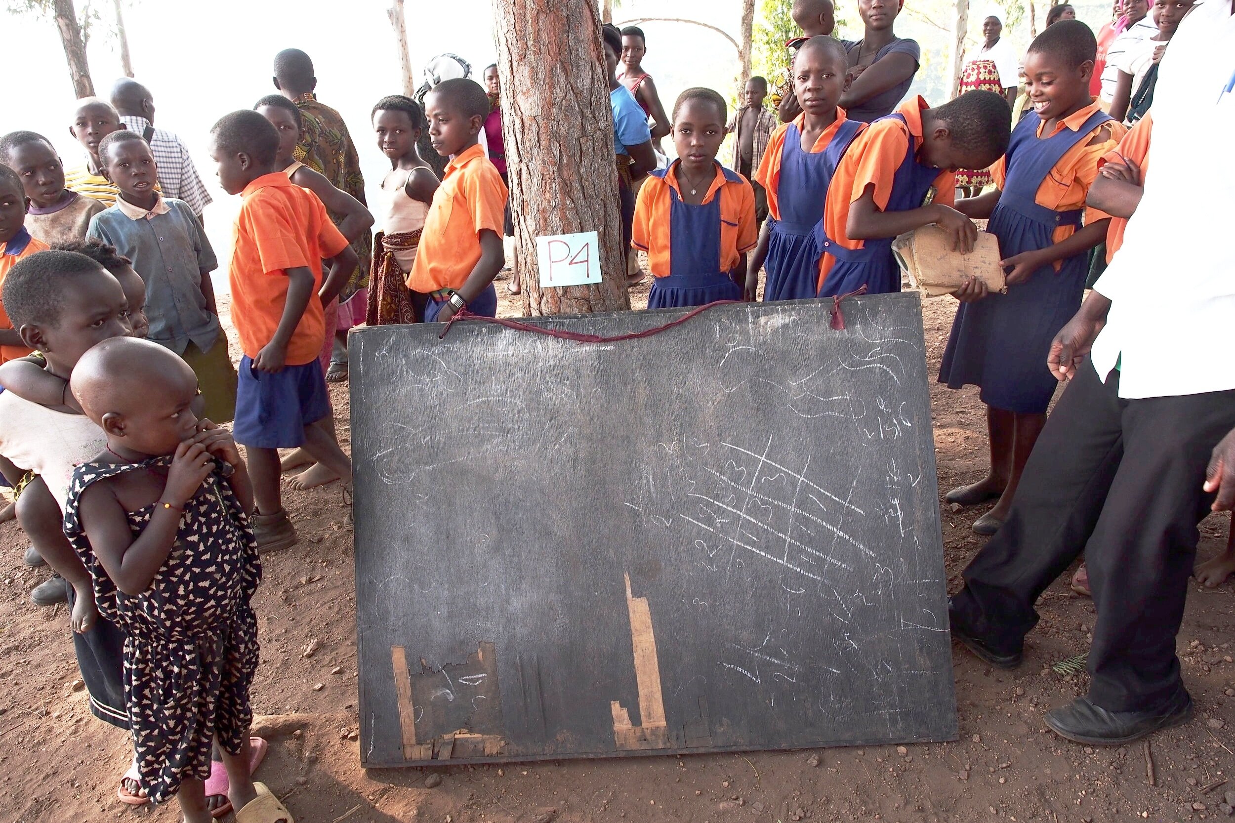 Grade 4  "classroom" - under the trees