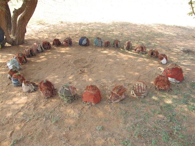 A classrooms under the lone tree