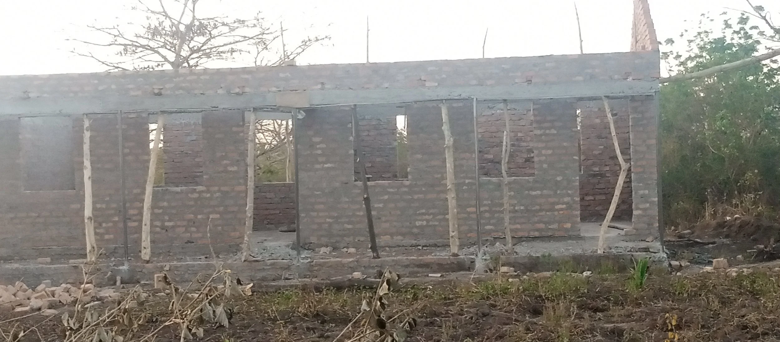 c1.jpg