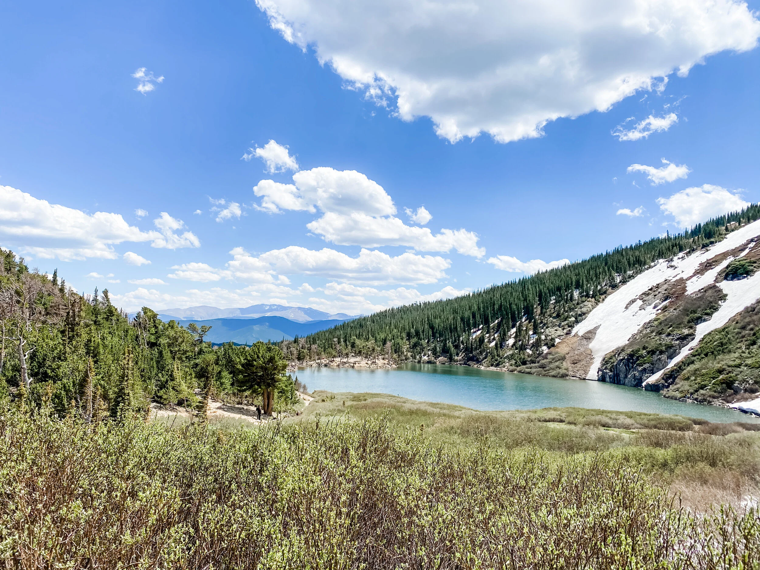 My Word of the Year: 6 Months In