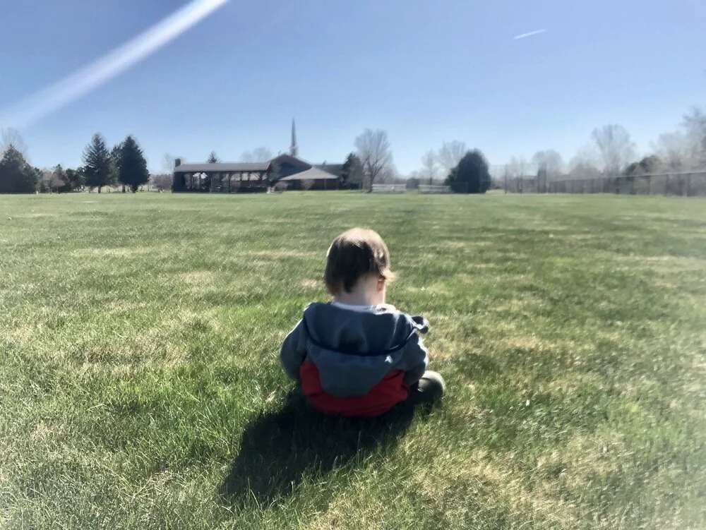 A Few Quarantine Faves