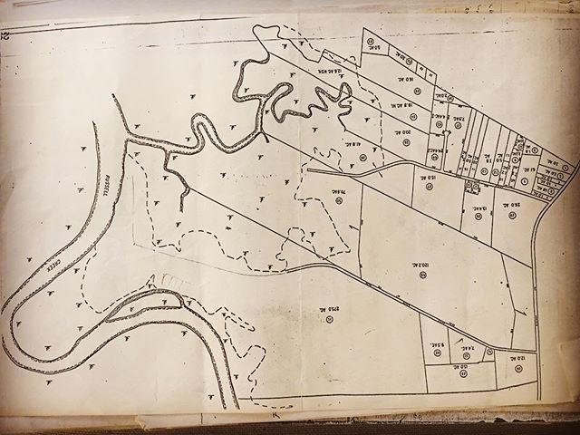 Old plat of Brick House. I think the road on the bottom as you look at plat is the original road to Brick House - before the avenue of oaks was planted.