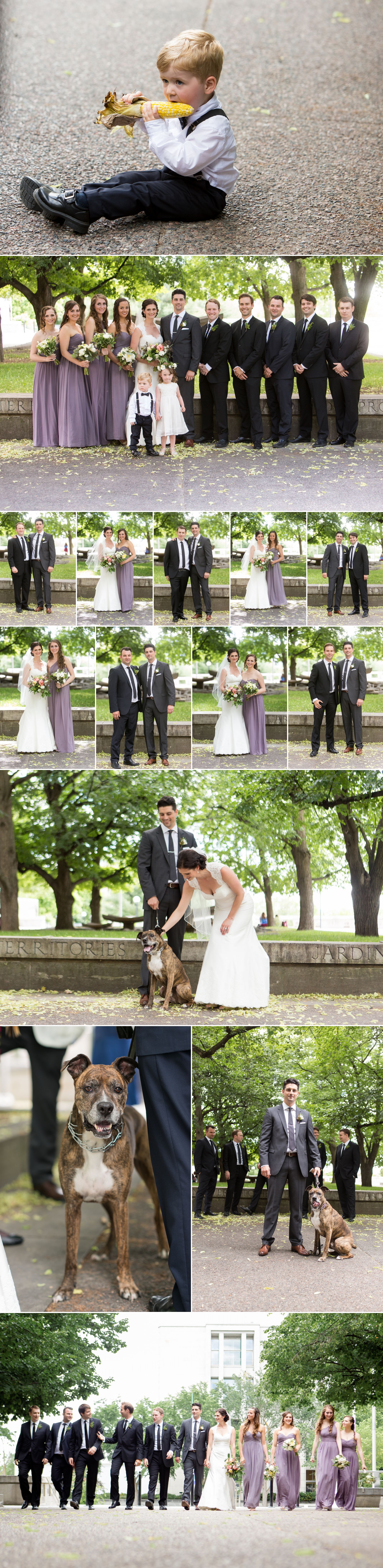 Portraits of a dog, a family, and a wedding party.