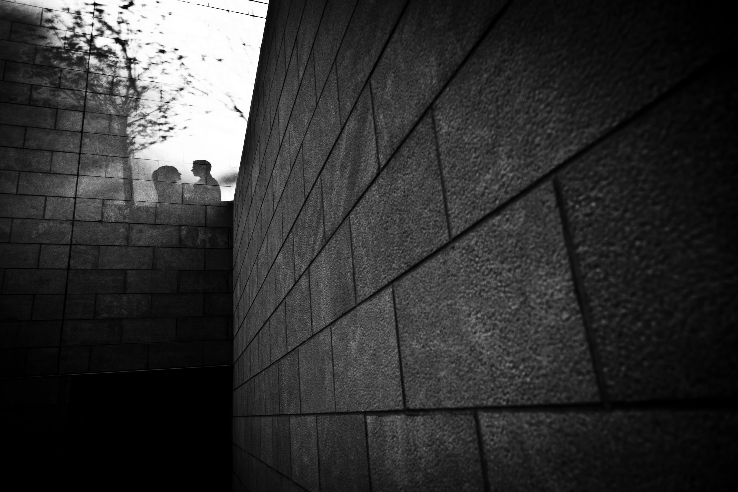 bride and grooms shadows in downtown ottawa (Copy)