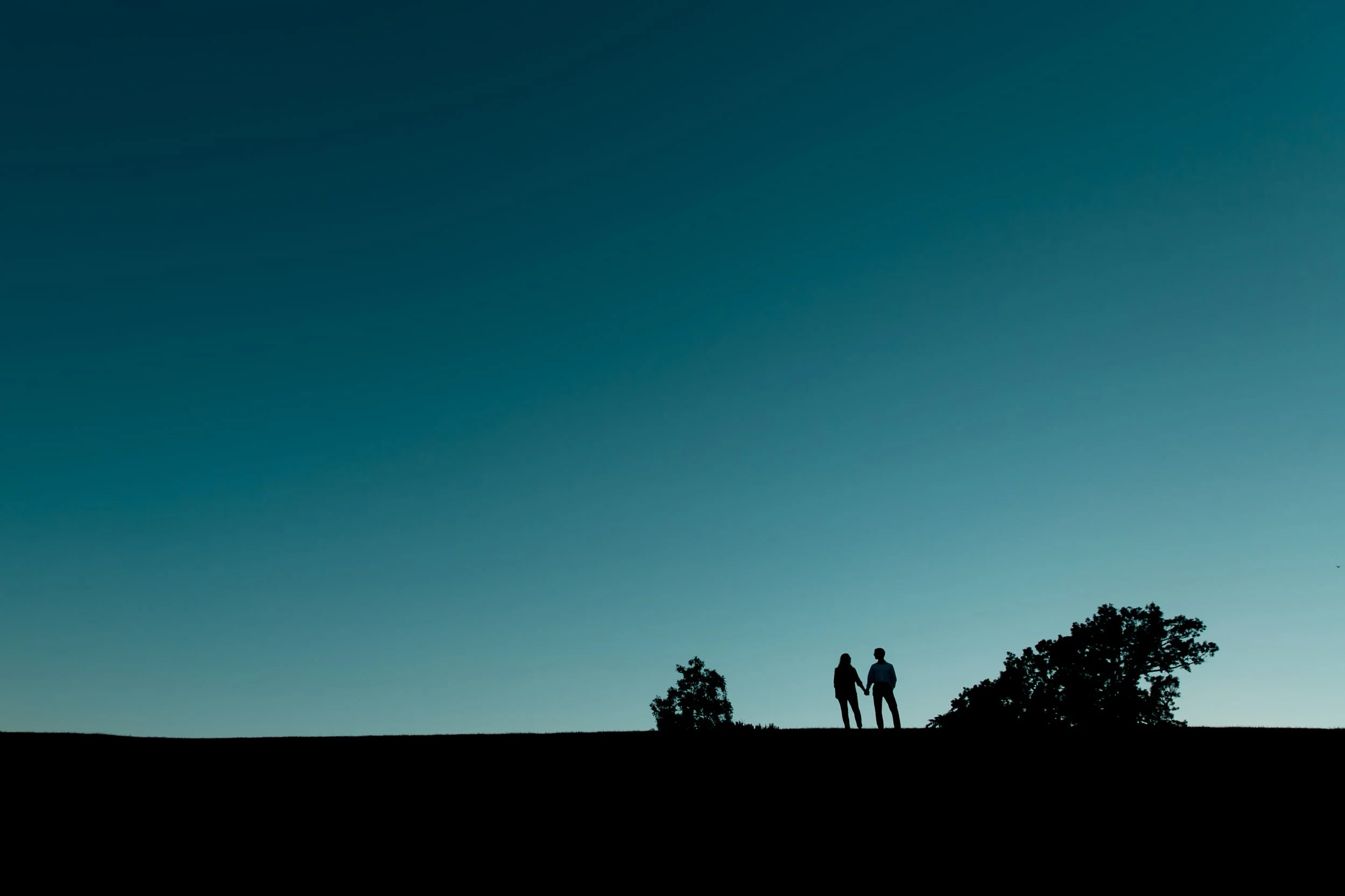 engagement shoot in ottawa ontario