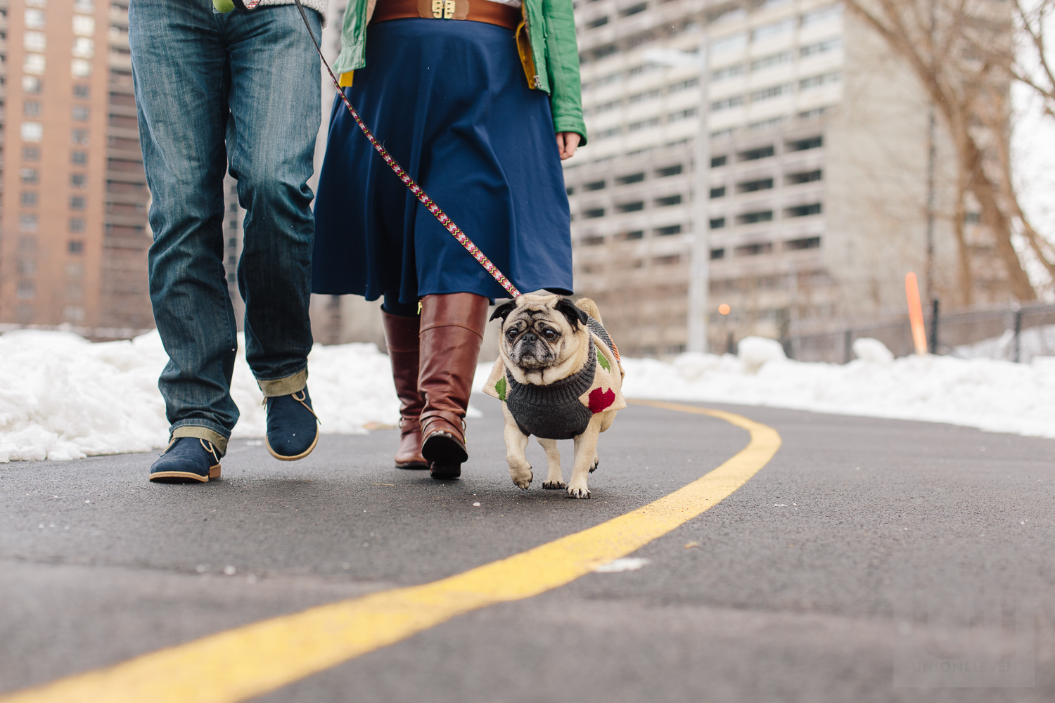 Engagement shoot of the couple walking their dog in downtown ottawa