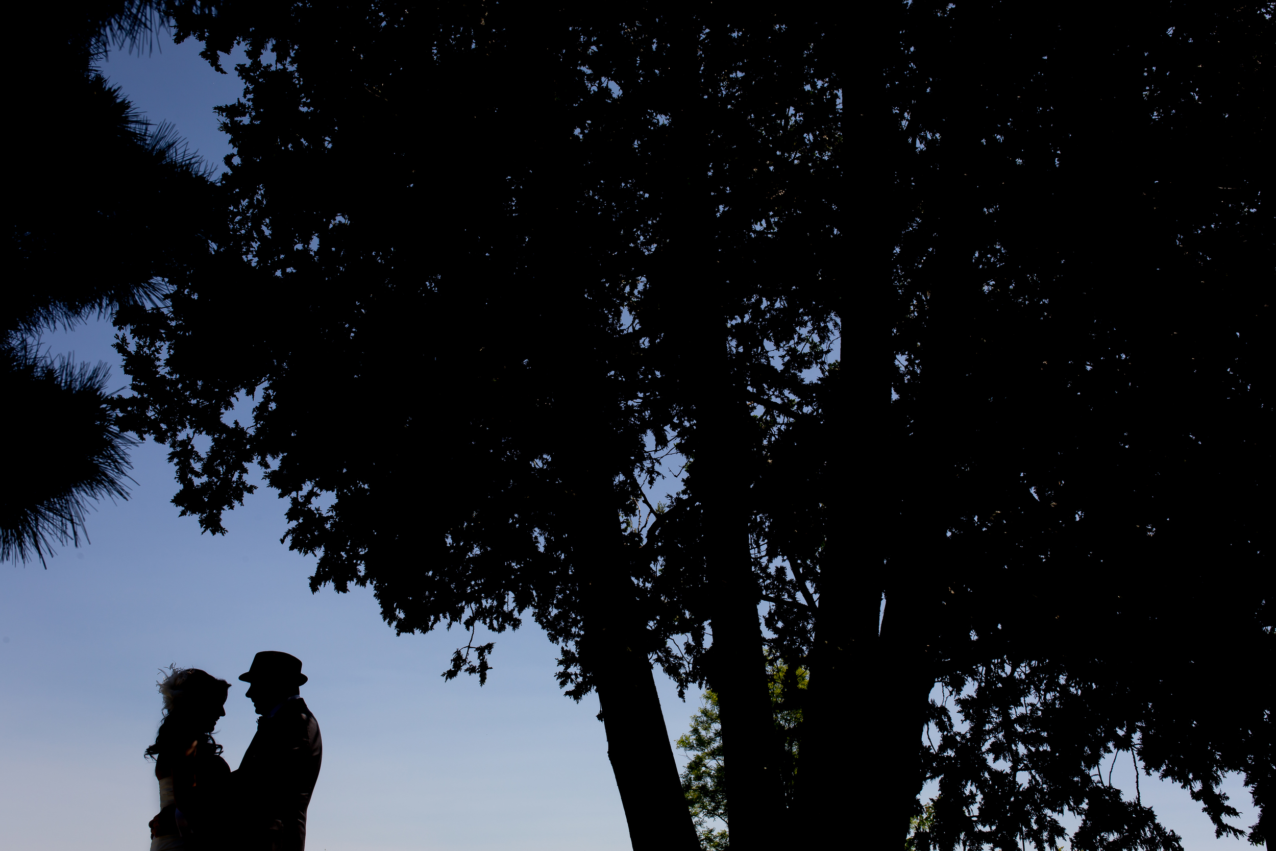A silhouette photo of the bride and groom outside at the Experimental Farm