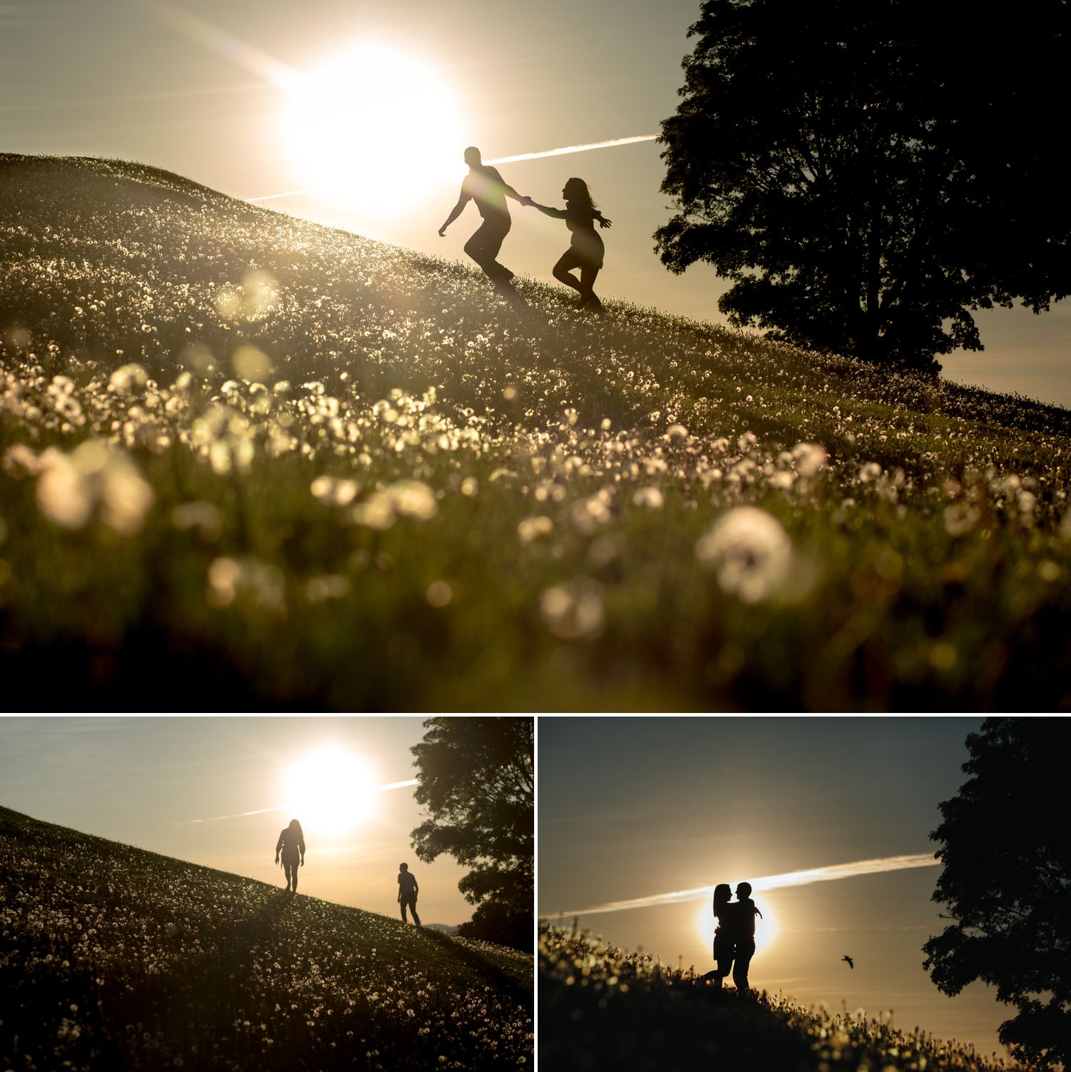 Photos from an engagement shoot in a downtown Ottawa park with the couple silhouetted against the setting sun