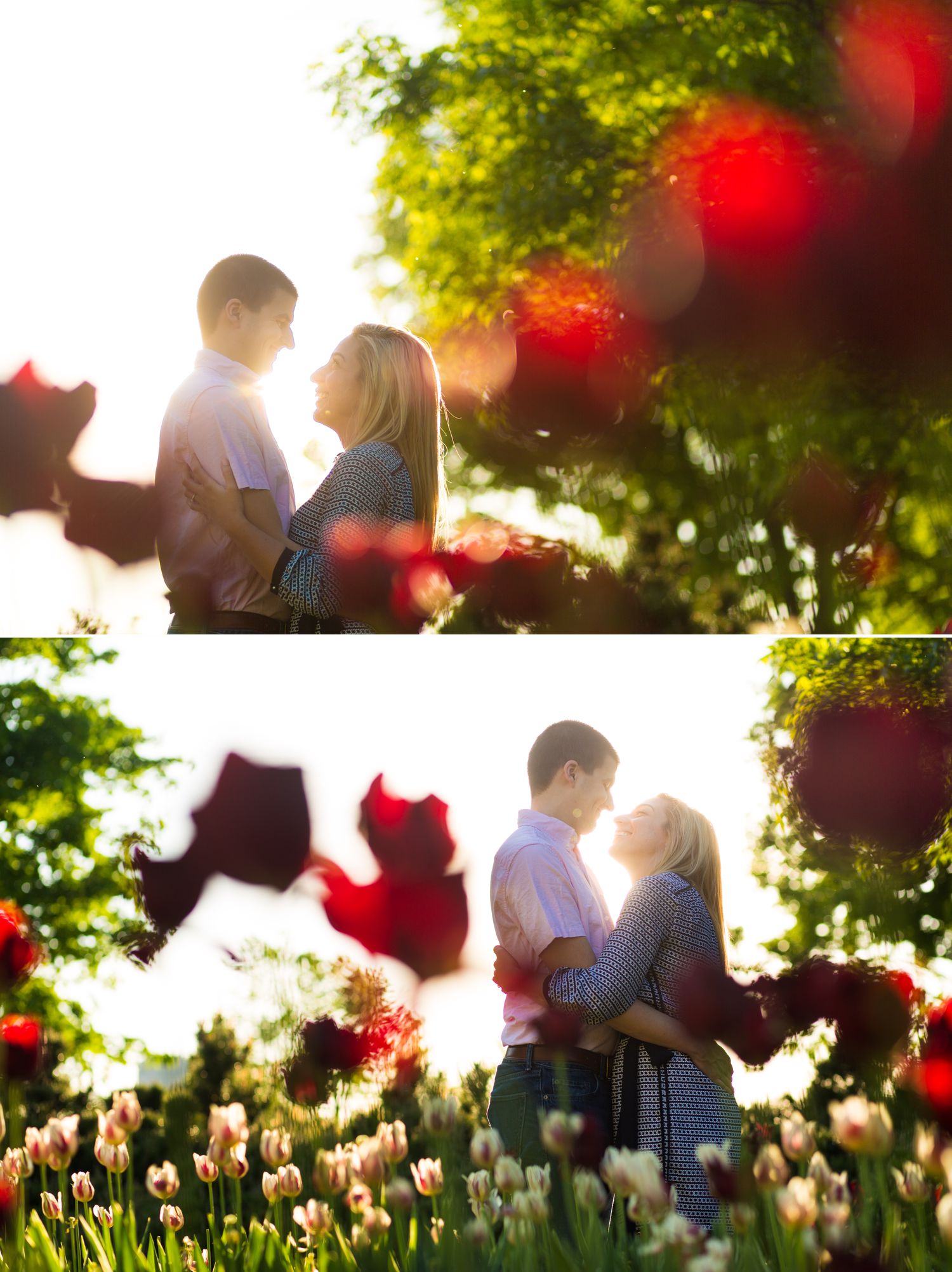 Photos from an engagement shoot in downtown Ottawa amongst the tulips