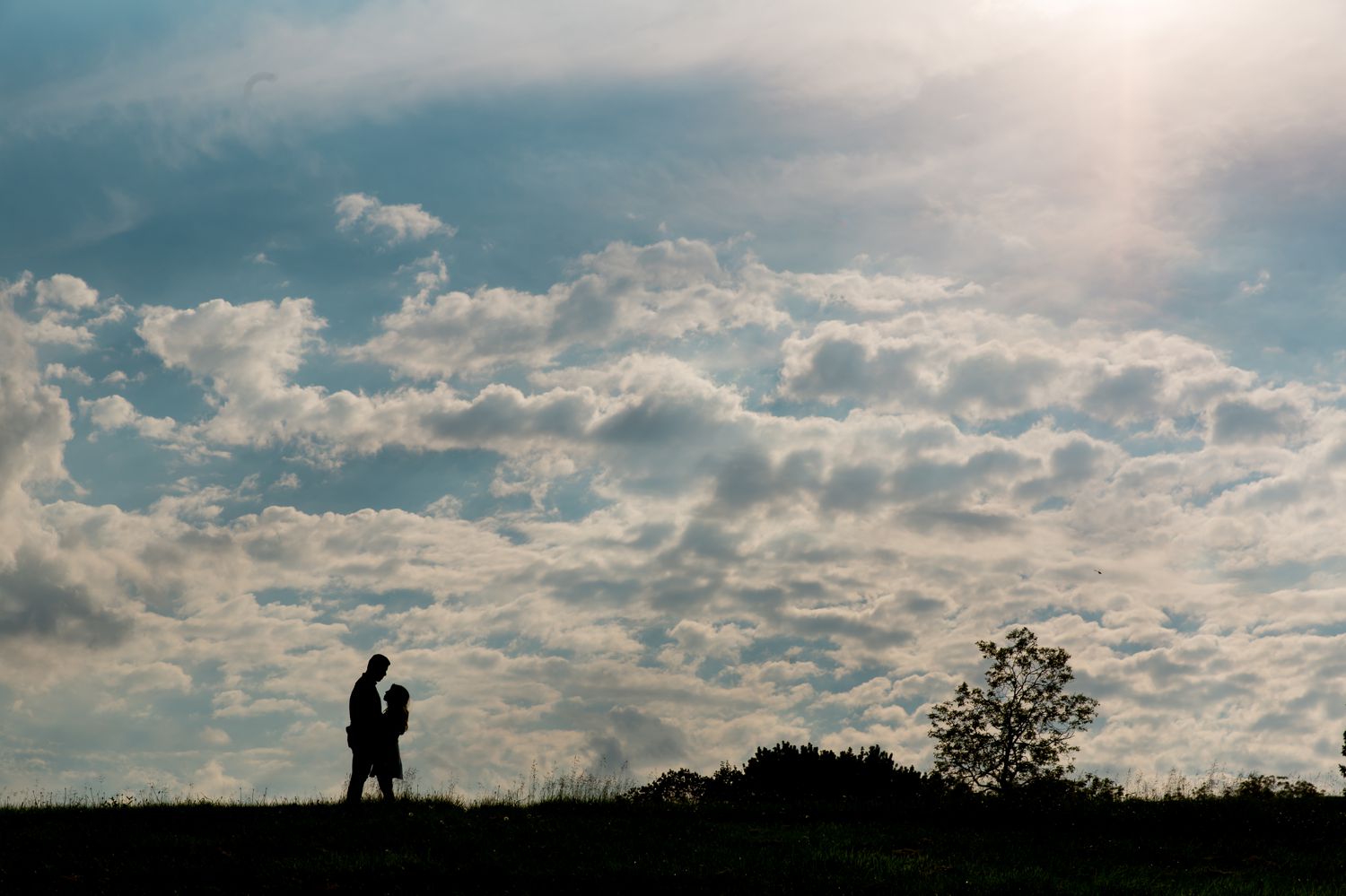 An engagement silhouette portrait taken at the Arboretum in Ottawa, ON