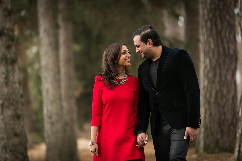 a photograph of a classy indian couple during their engagement session (Copy)