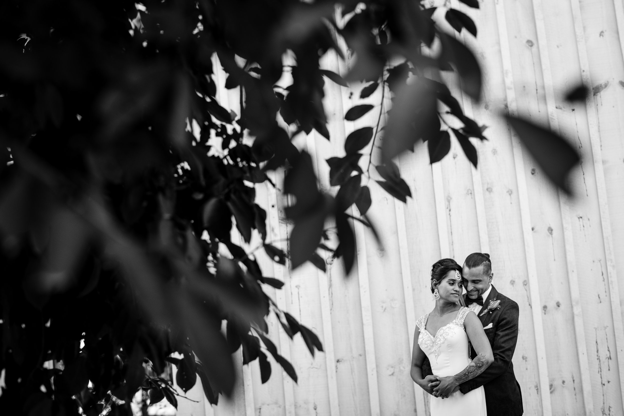 artistic photo of a bride and groom at a le belvedere wedding