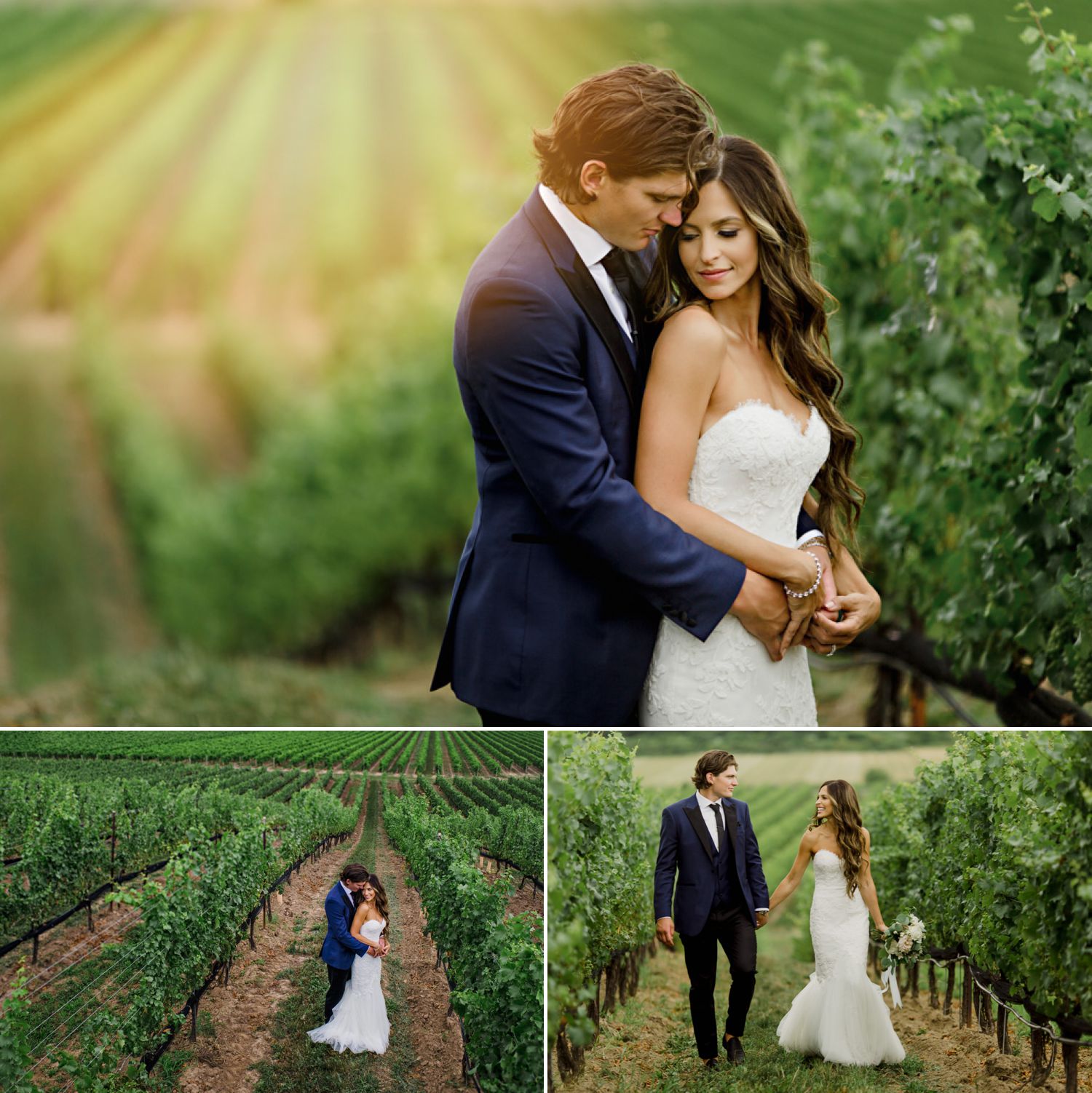Portraits of the bride and groom taken after their wedding ceremony at The Ravine Vineyard Estate Winery in A wedding ceremony taking place at The Ravine Vineyard Estate Winery in Niagara-on-the-Lake