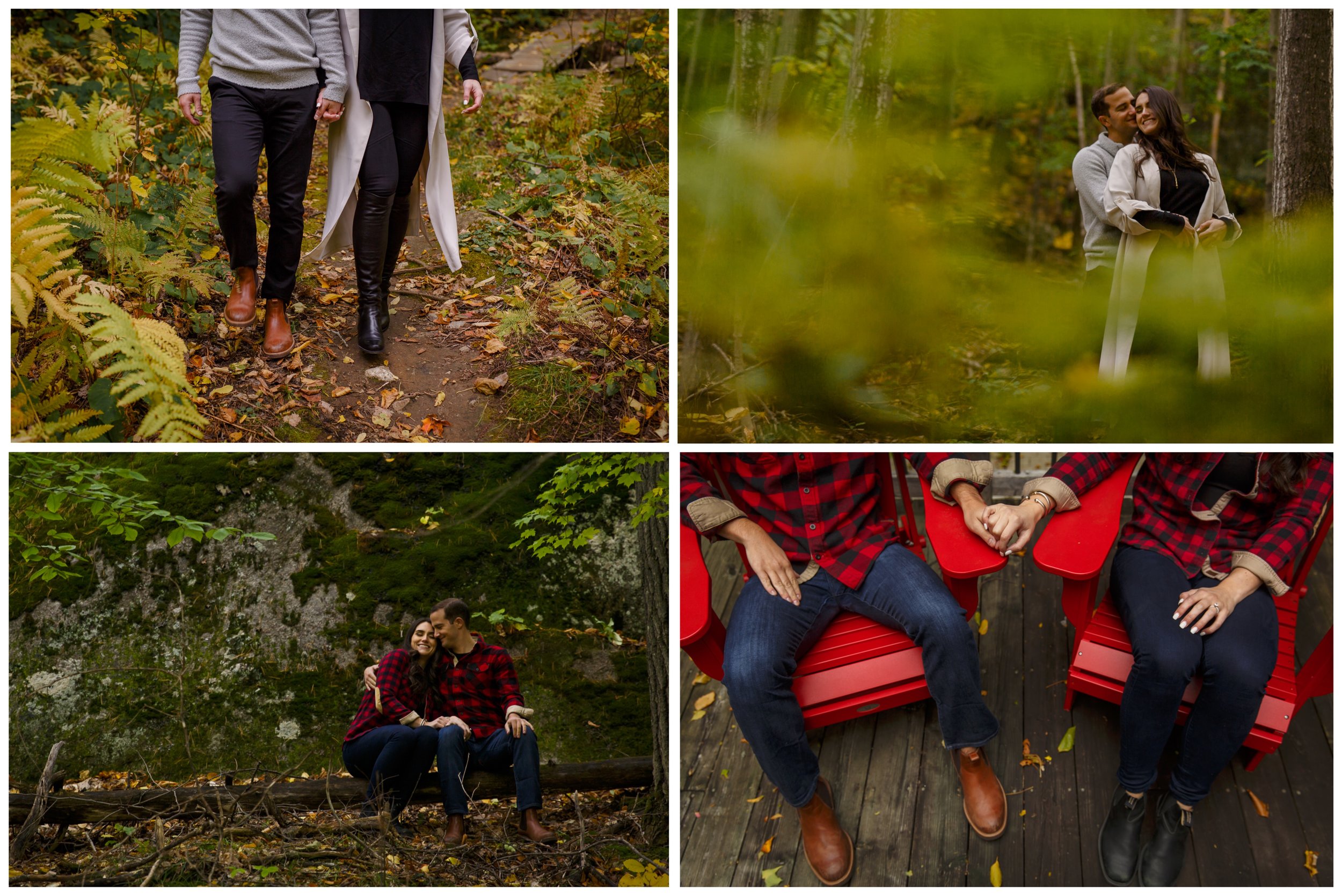 engagement photos in the forest