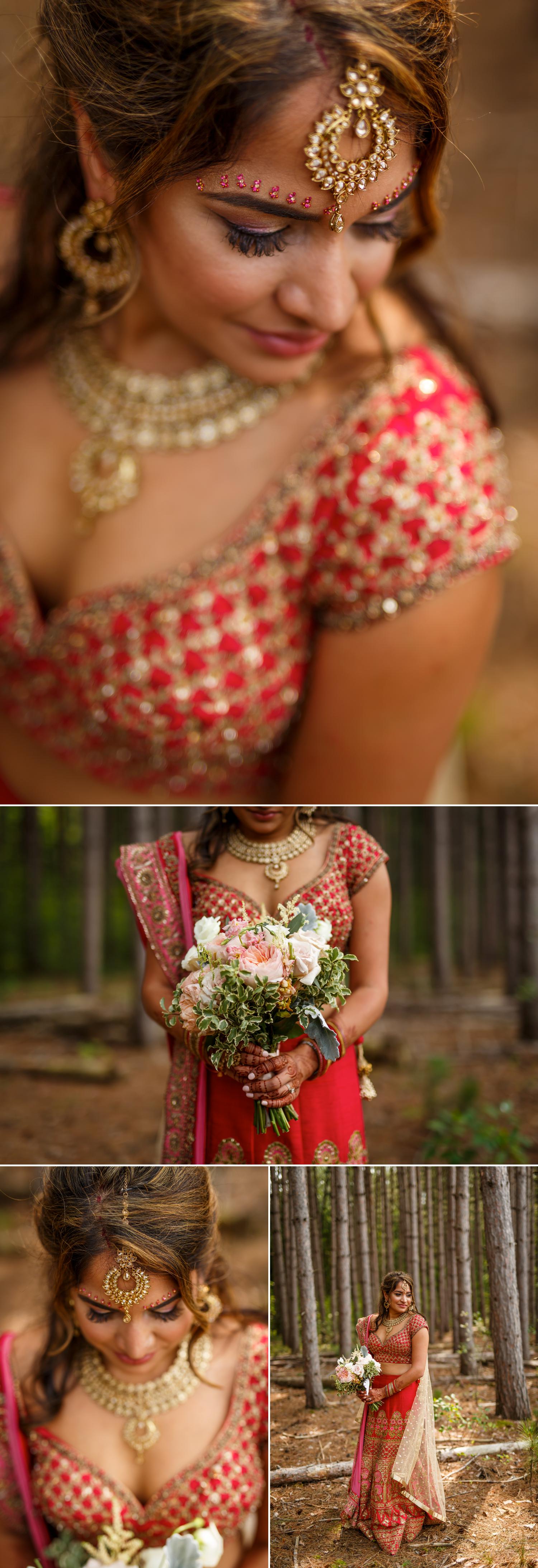 photos of an indian bride in ottawa