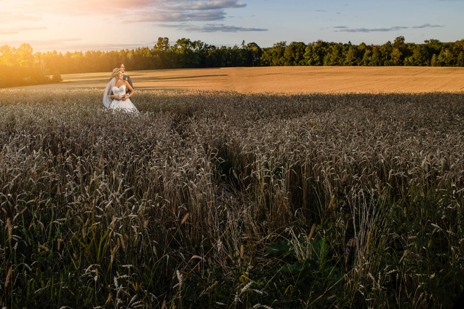 portrait of bride and groom during sunset during a evermore weddings and events wedding reception in almonte ontario