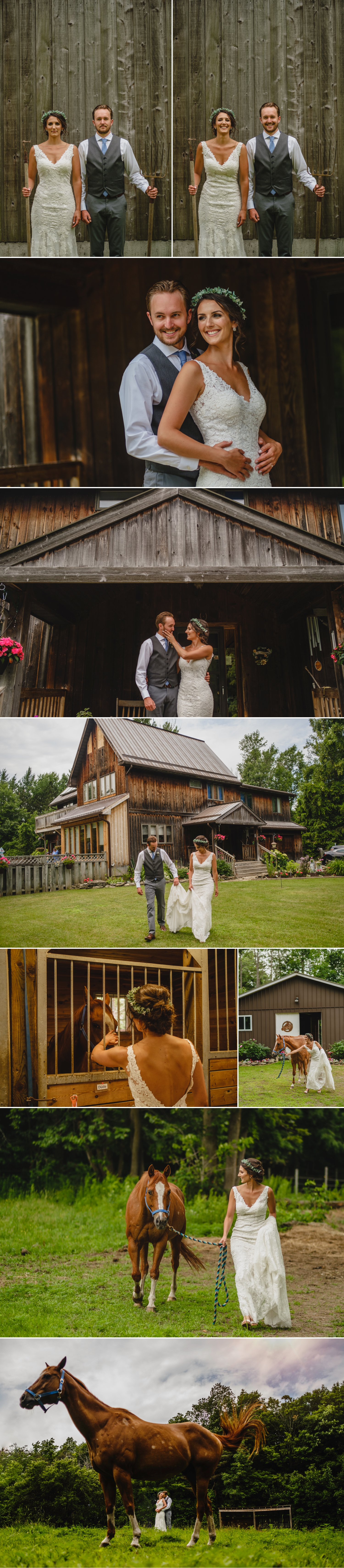 bride and groom portraits with horse on family farm during a metcalfe ontario wedding