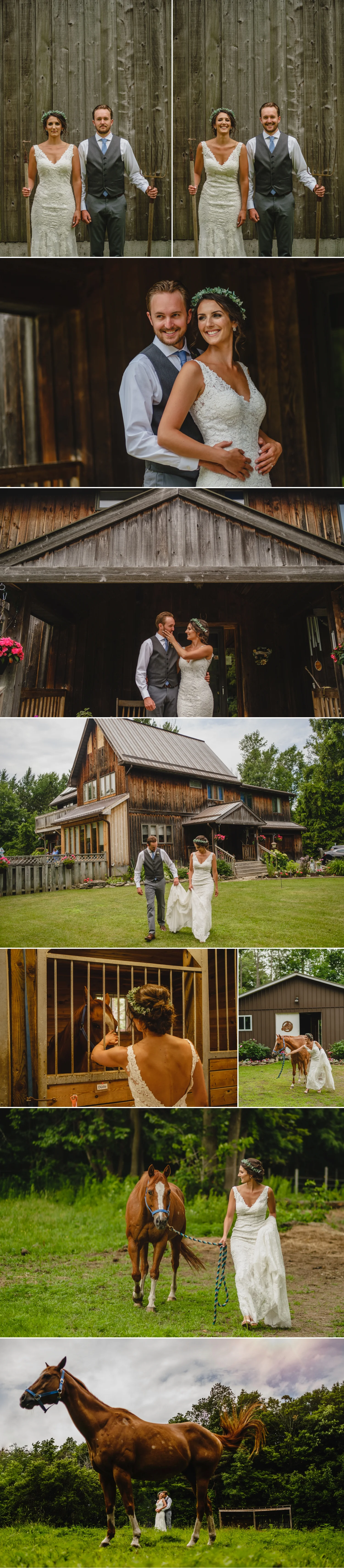 bride and groom portraits with horse on family farm during a metcalfe ontario wedding