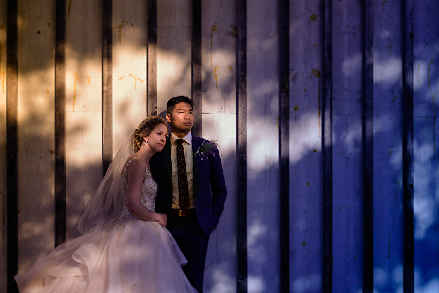 couples shot at le belvedere at sunset