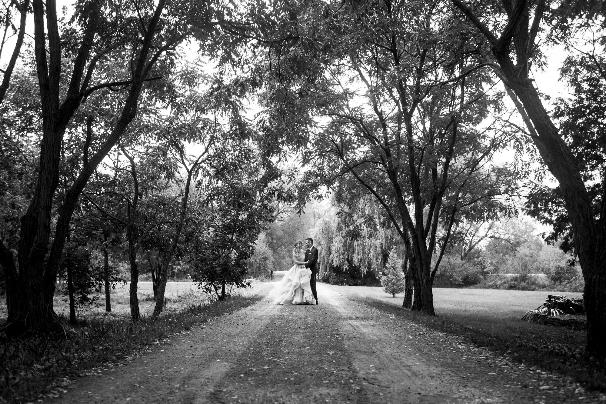 black and white portrait of a bride and groom on a tree lined road at Stonefields Estate near Ottawa