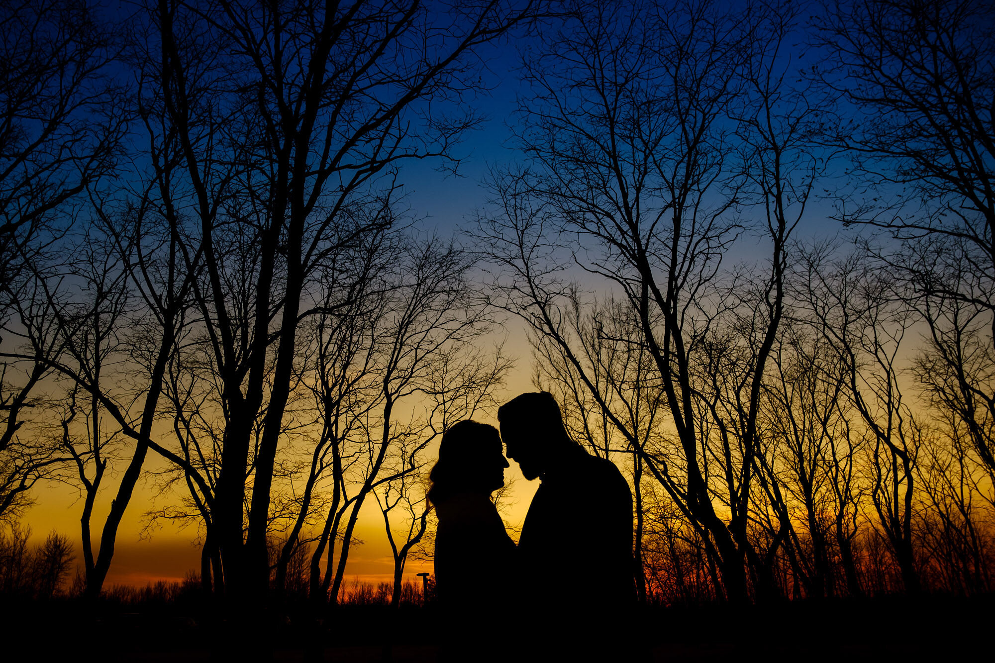 Silhouette portrait of couple standing amidst trees in front of beautiful winter sunset