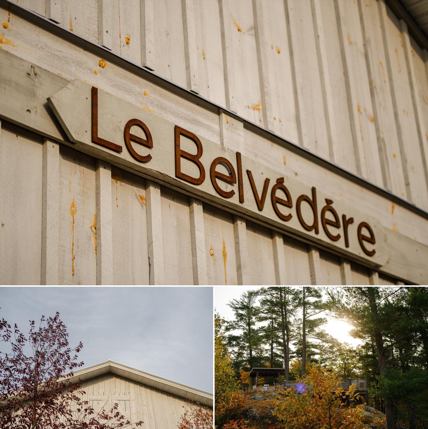 photos of le belvedere