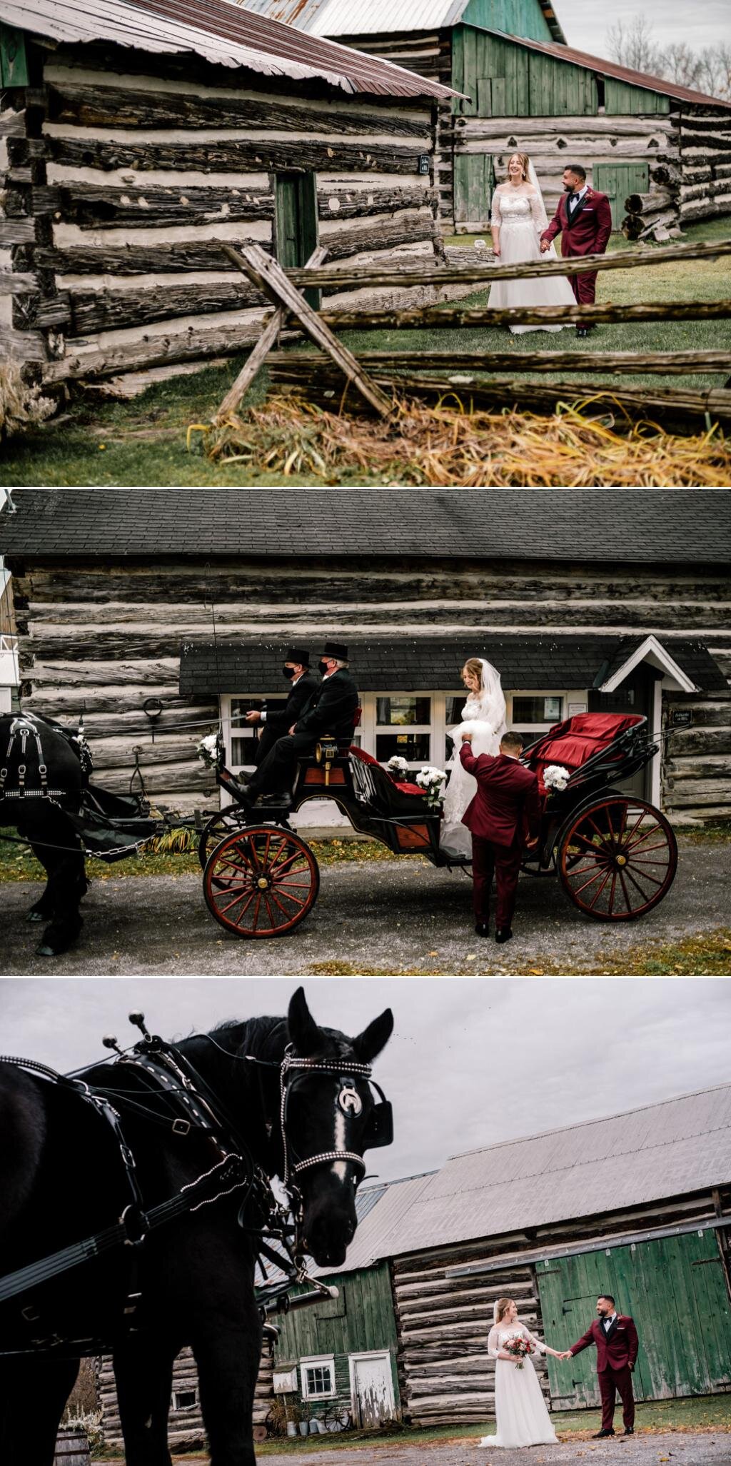 photos of a horse and carriage ride at stonefields estate