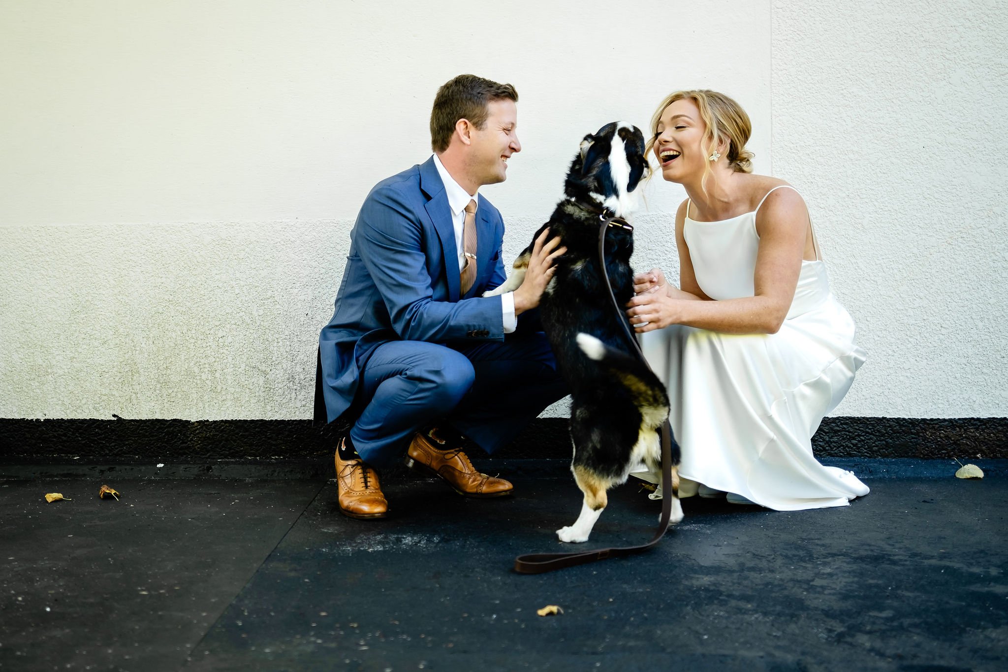 photograph of a bride and groom with their pet dog