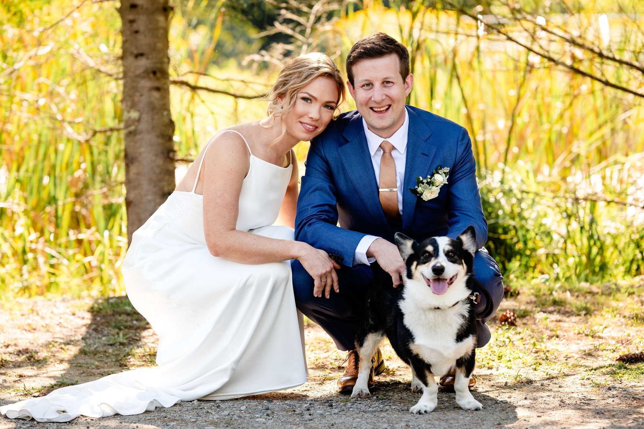 wedding photograph with a pet dog